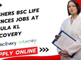Freshers BSc Life Sciences Jobs at Nebula KL Discovery