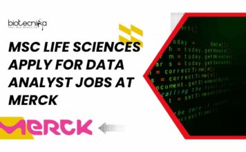 Data Analyst Jobs Bangalore