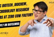Research Jobs at Zero Cow Factory