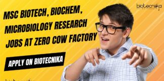 Research Jobs at Zero Cow Factory