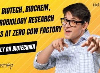 Research Jobs at Zero Cow Factory