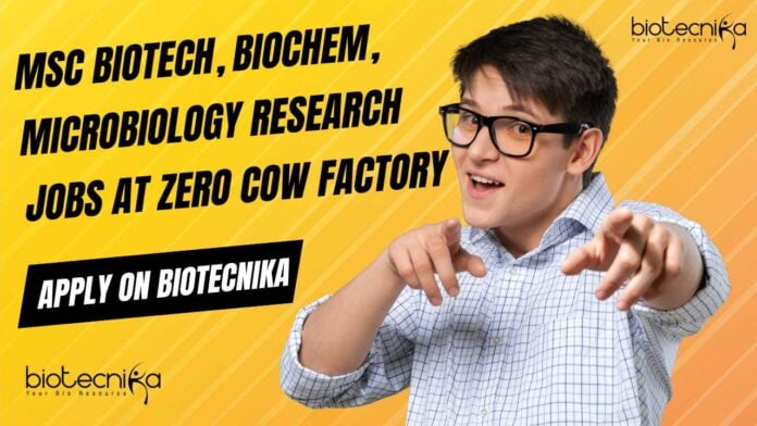 Research Jobs at Zero Cow Factory