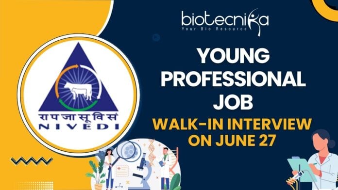 Young Professional Job at ICAR-NIVEDI Walk-in Interview on June 27