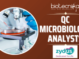 Zydus Hiring QC Microbiology Analysts Apply Now