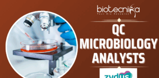 Zydus Hiring QC Microbiology Analysts Apply Now