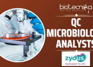 Zydus Hiring QC Microbiology Analysts Apply Now