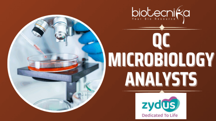 Zydus Hiring QC Microbiology Analysts Apply Now