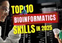 Skills for Bioinformatics Career 2025