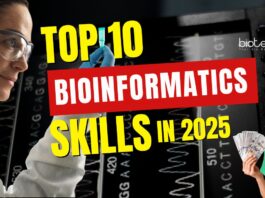 Skills for Bioinformatics Career 2025