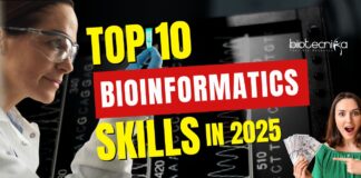 Skills for Bioinformatics Career 2025