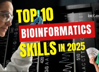 Skills for Bioinformatics Career 2025
