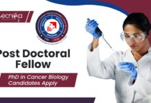 ACTREC Post Doctoral Fellow Jobs | PhD in Cancer Biology Candidates Apply