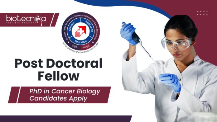 ACTREC Post Doctoral Fellow Jobs | PhD in Cancer Biology Candidates Apply