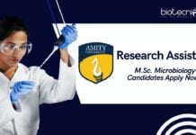 Latest Microbiology Research Job Roles at Amity University, Apply Now