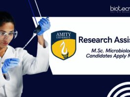 Latest Microbiology Research Job Roles at Amity University, Apply Now