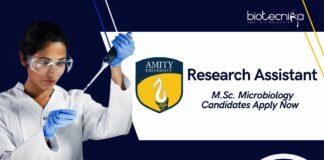 Latest Microbiology Research Job Roles at Amity University, Apply Now