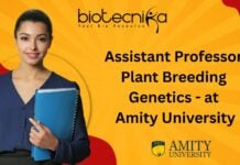 Assistant Professor Plant Breeding Genetics