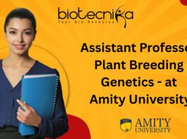 Assistant Professor Plant Breeding Genetics