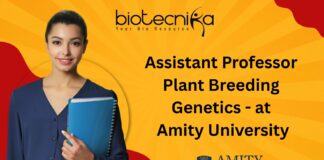 Assistant Professor Plant Breeding Genetics