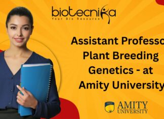 Assistant Professor Plant Breeding Genetics