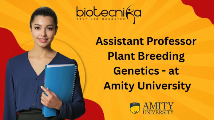 Assistant Professor Plant Breeding Genetics