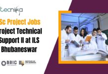BSc Project Jobs Project