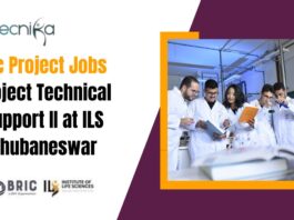 BSc Project Jobs Project
