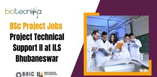 BSc Project Jobs Project
