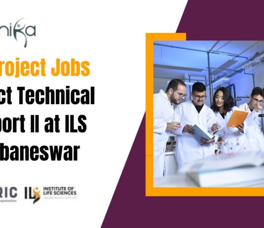 BSc Project Jobs Project