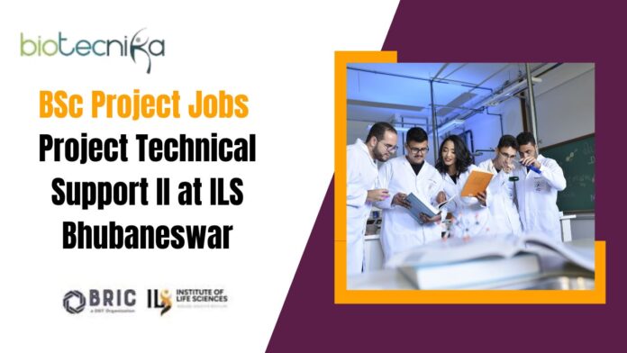 BSc Project Jobs Project
