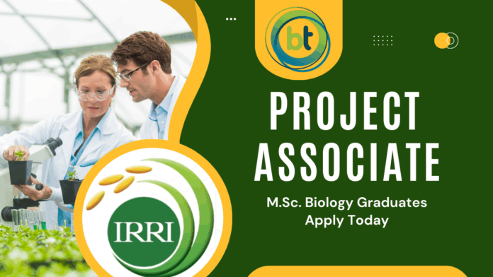 Biology Jobs at IRRI – Apply by 17 July 2025