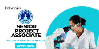 Latest PhD Biotechnology Jobs at Tezpur University | Apply Now for Senior Project Associate Role