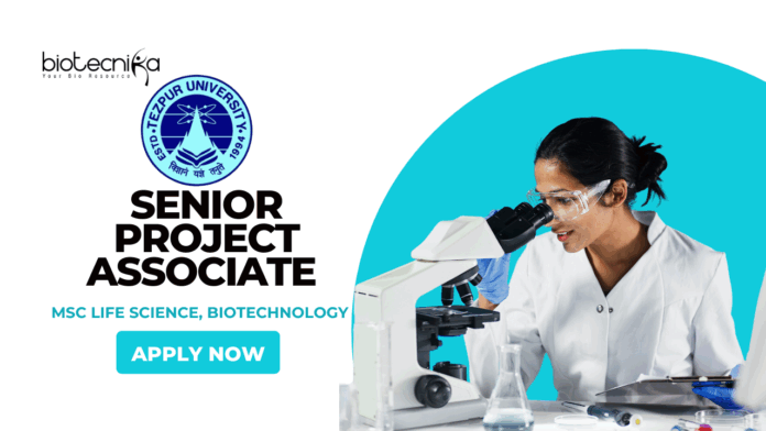 Latest PhD Biotechnology Jobs at Tezpur University | Apply Now for Senior Project Associate Role