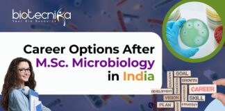 Career Options After M.Sc. Microbiology in India