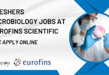 Freshers MSc Microbiology Jobs