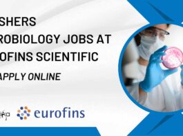 Freshers MSc Microbiology Jobs