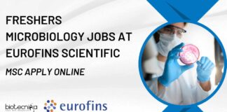 Freshers MSc Microbiology Jobs