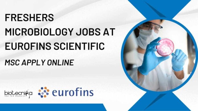 Freshers MSc Microbiology Jobs