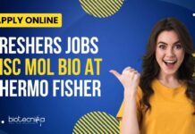Freshers MSc Molecular Biology Jobs
