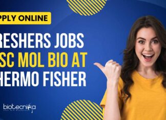 Freshers MSc Molecular Biology Jobs