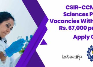 CCMB Project Recruitment 2025
