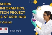 Freshers MSc Bioinformatics Job