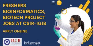 Freshers MSc Bioinformatics Job