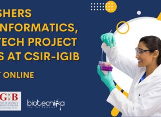 Freshers MSc Bioinformatics Job