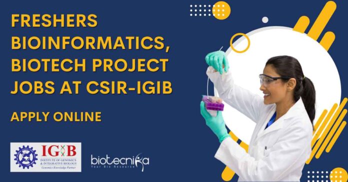 Freshers MSc Bioinformatics Job