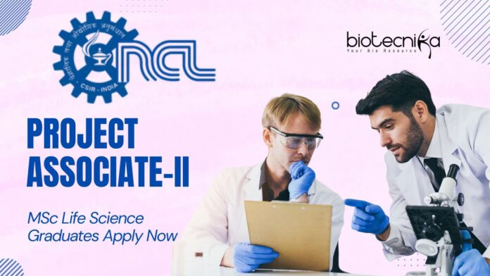 CSIR-NCL Project Associate-II Job | MSc Life Science Graduates Apply Now