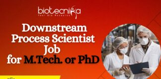 Downstream Process Scientist Job
