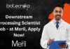 Downstream Processing Scientist Job - at Meril