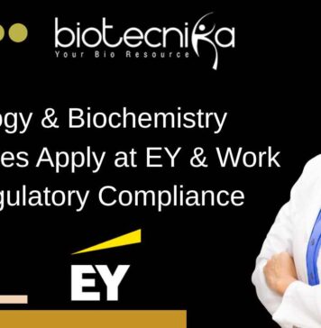 EY Regulatory Compliance Jobs