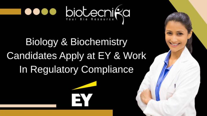 EY Regulatory Compliance Jobs